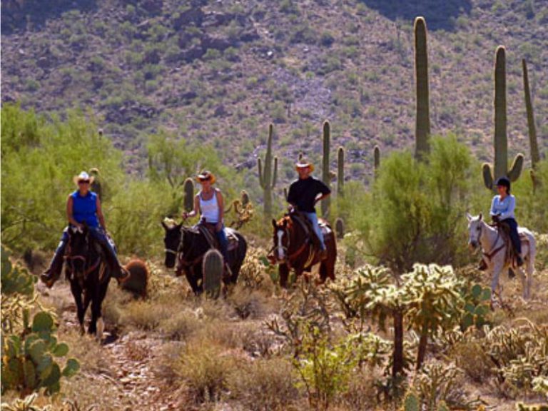 Guest Ranch Map View | GuestRanches.com