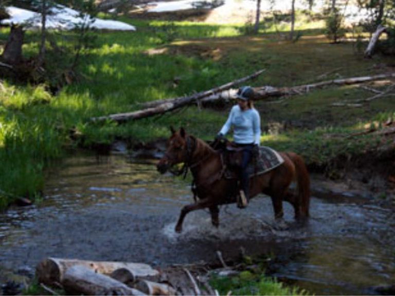 Guest Ranch Map View | GuestRanches.com