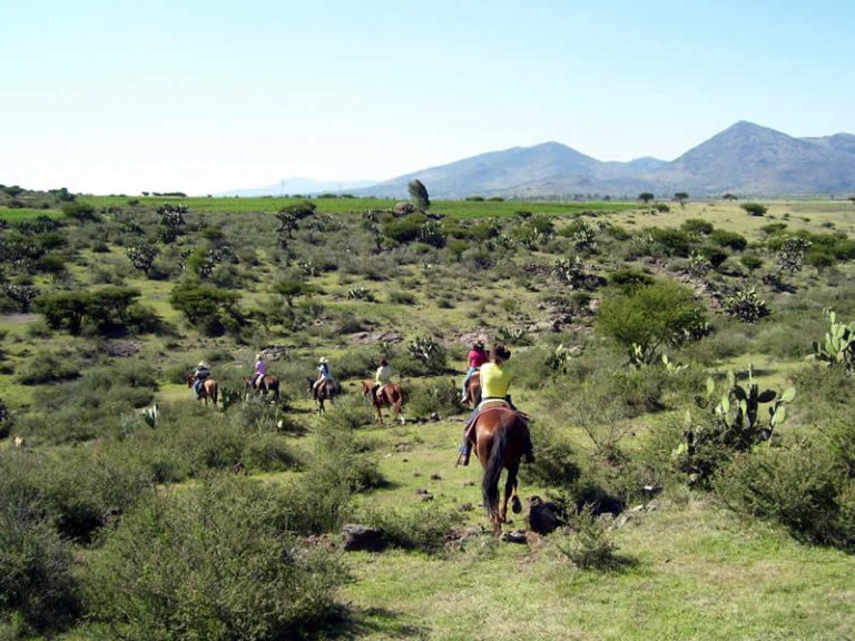 Guest Ranch Map View | GuestRanches.com