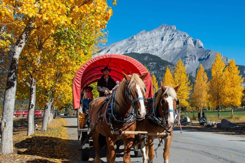 Banff Trail Riders - Wagon ride - Canada