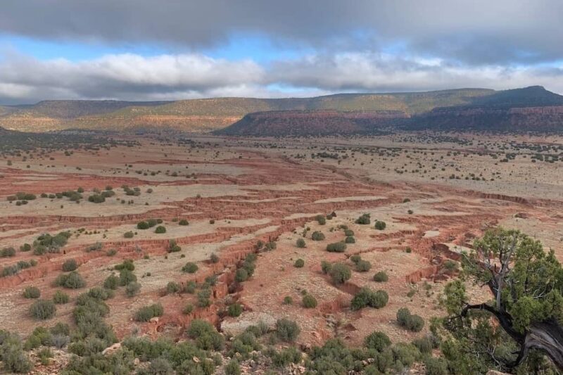 Canyon Madness Ranch - New Mexico