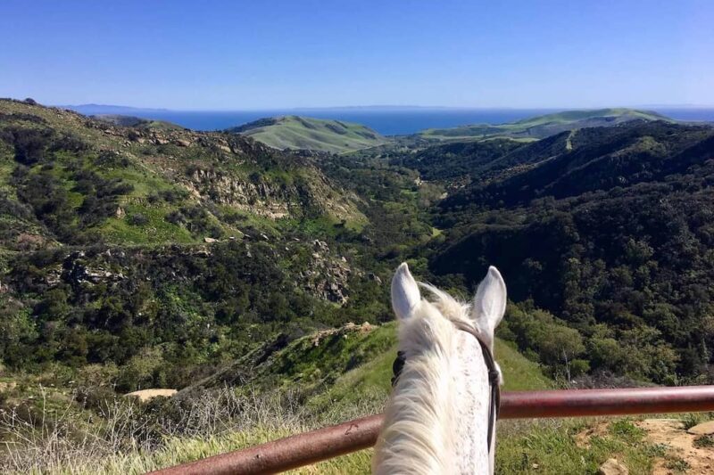 Circle Bar B Guest Ranch - CA - Horseback Riding