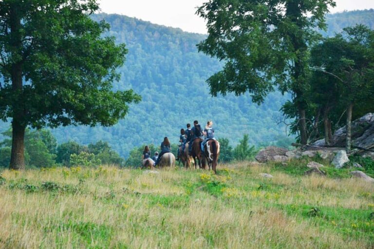 Horseshoe Canyon Ranch ~ an overview | GuestRanches.com