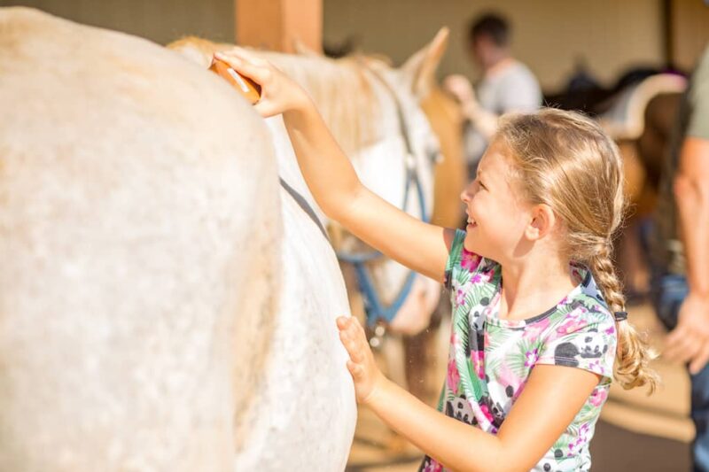 Southern Cross Guest Ranch in Madison, GA - Children's Activities